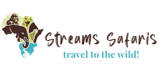 Streams Safaris